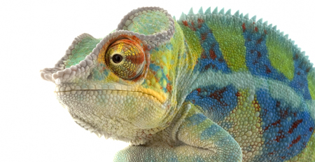 aanpassen is de 2e natuur